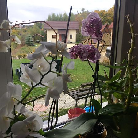 Cabana 7 Brazi Poiana Mărului 외부 사진