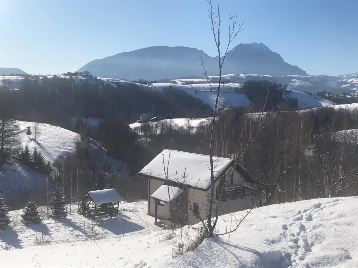 Cabana 7 Brazi Poiana Mărului 외부 사진