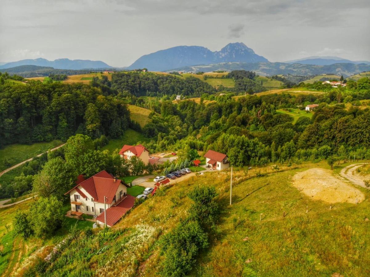 Cabana 7 Brazi Poiana Mărului 외부 사진