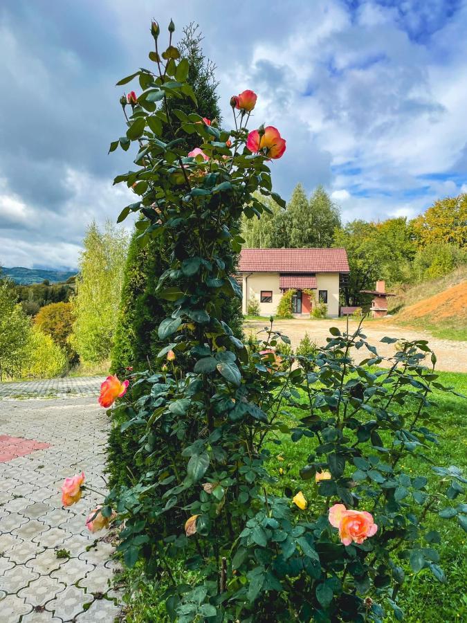 Cabana 7 Brazi Poiana Mărului 외부 사진