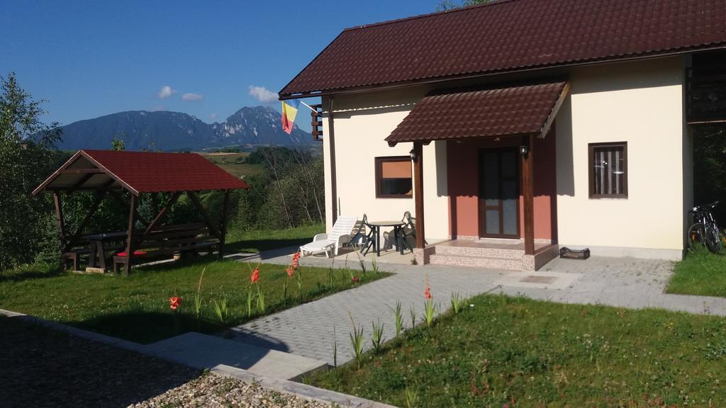 Cabana 7 Brazi Poiana Mărului 외부 사진