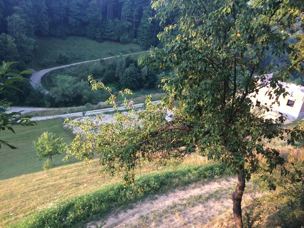 Cabana 7 Brazi Poiana Mărului 외부 사진