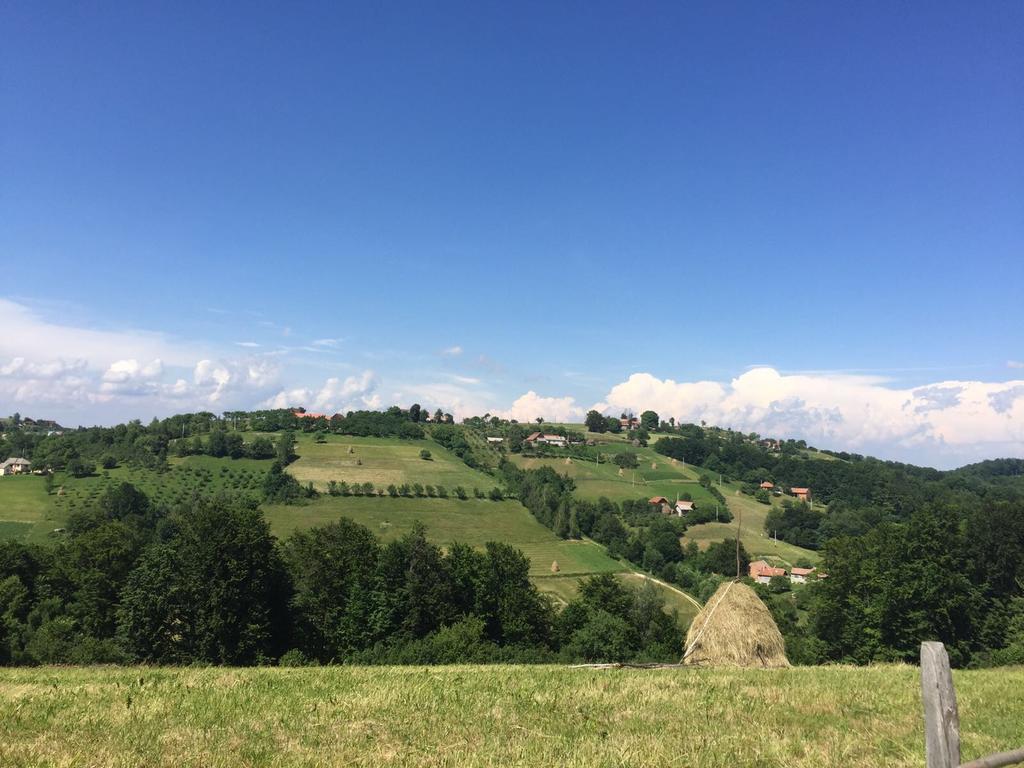 Cabana 7 Brazi Poiana Mărului 외부 사진