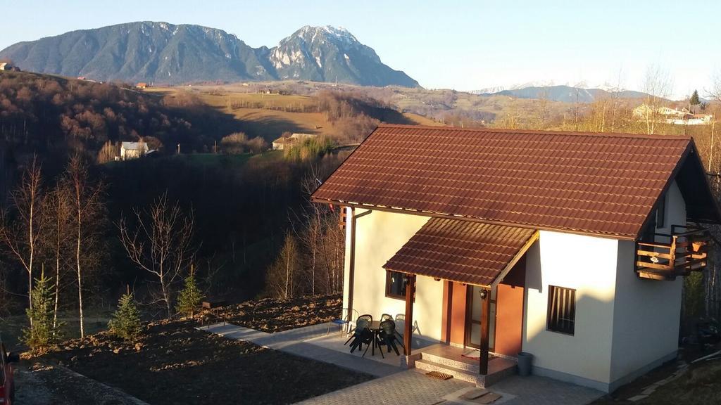 Cabana 7 Brazi Poiana Mărului 외부 사진