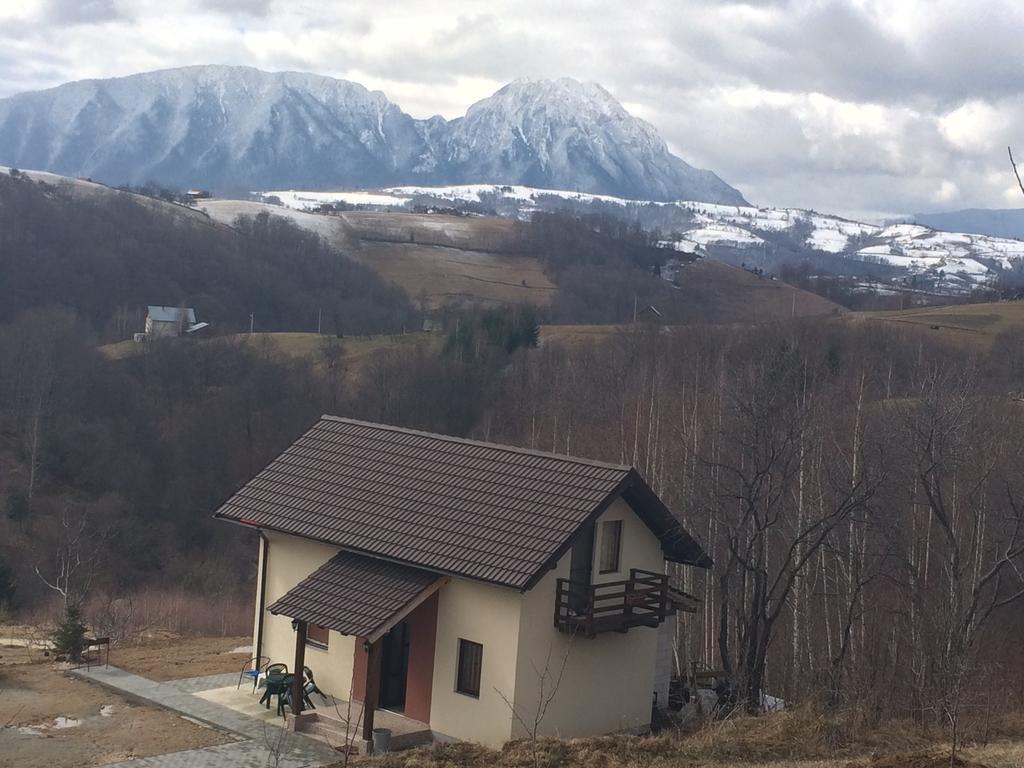 Cabana 7 Brazi Poiana Mărului 외부 사진
