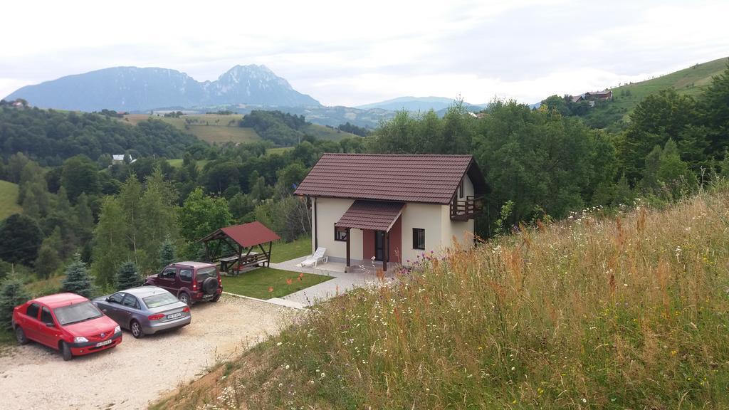 Cabana 7 Brazi Poiana Mărului 외부 사진