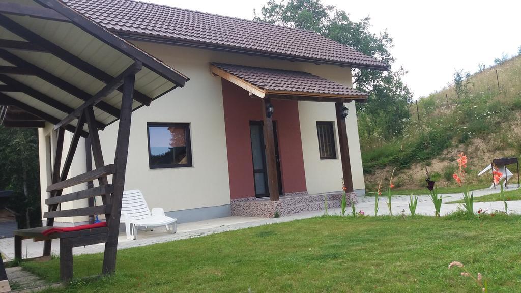 Cabana 7 Brazi Poiana Mărului 외부 사진
