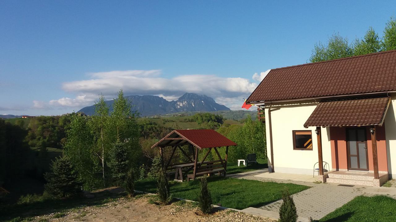 Cabana 7 Brazi Poiana Mărului 외부 사진