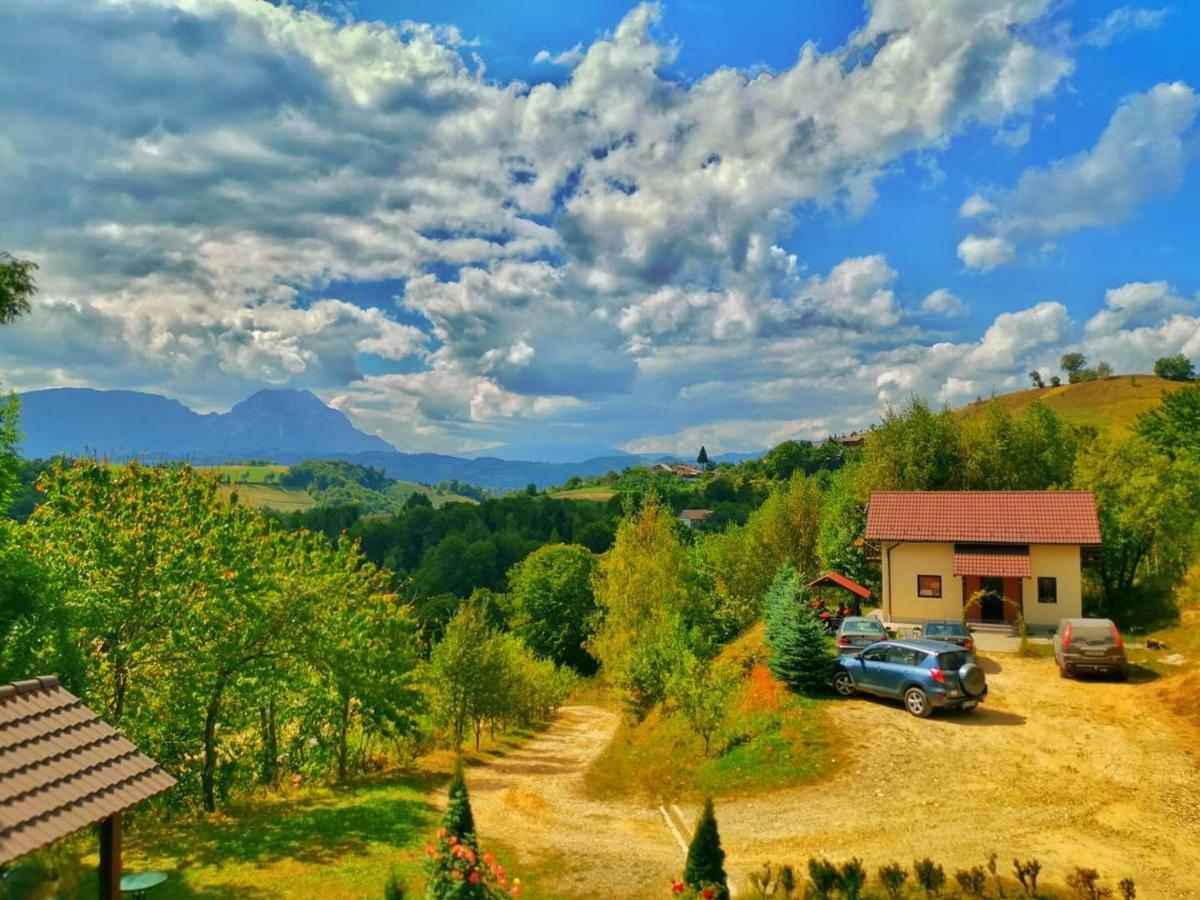 Cabana 7 Brazi Poiana Mărului 외부 사진